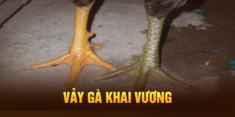 Vảy gà khai vương là gì?